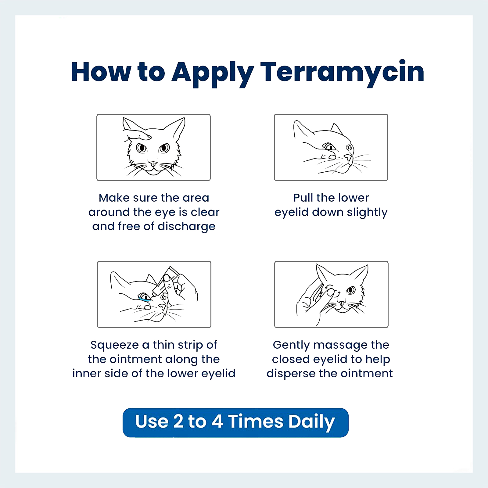How to Apply Terramycin Antibiotic Ointment for Eye Infection Treatment in Dogs Cats and Horses