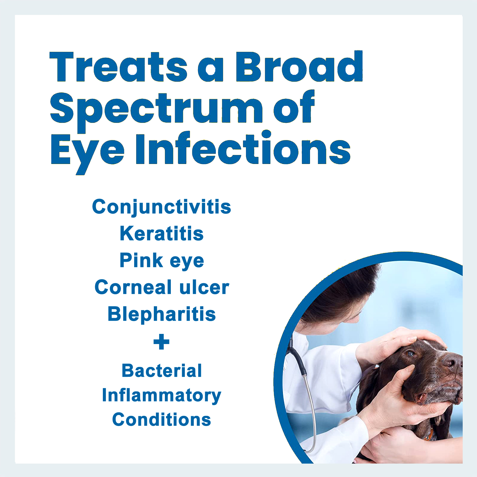 Terramycin Antibiotic Ointment for Eye Infection Treatment in Dogs Cats and Horses
