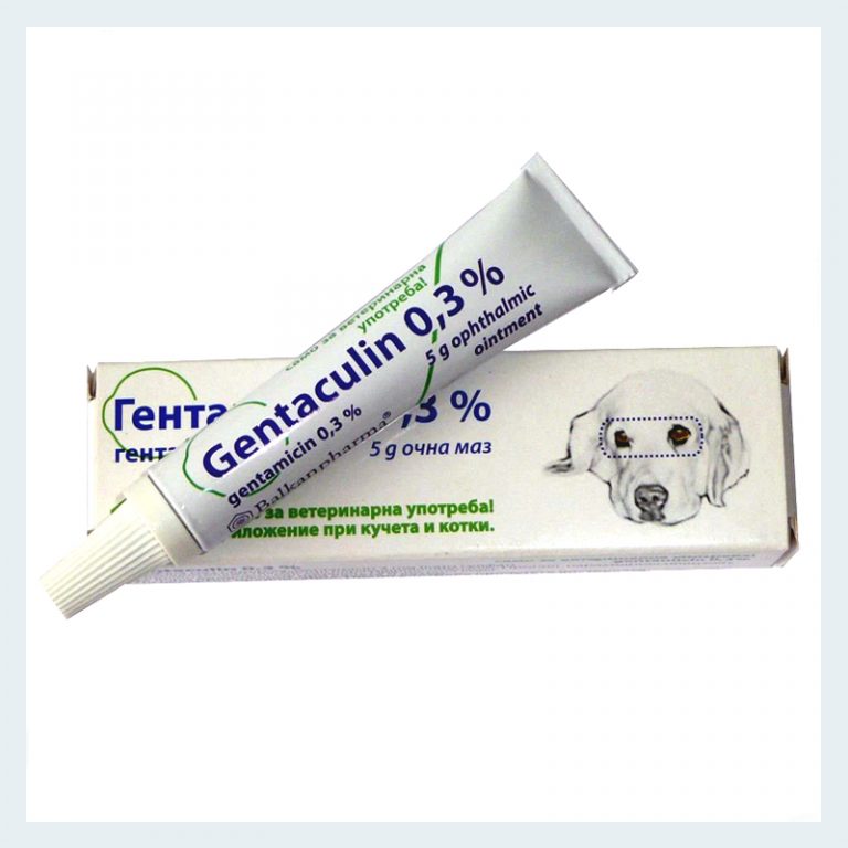 Gentaculin (Gentamicin) Eye Ointment 5g Pet Meds Online Low Cost